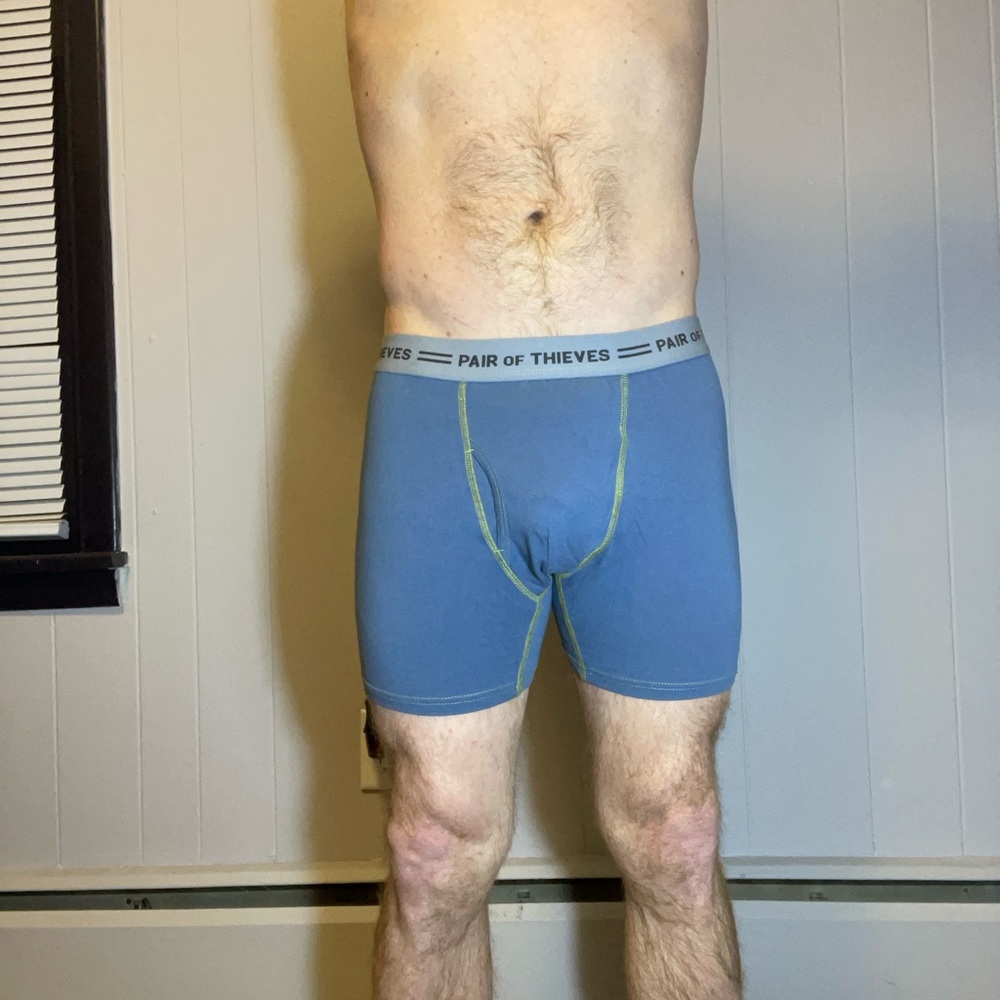 Pair of Thieves Blue/Gray Men's Boxer Briefs